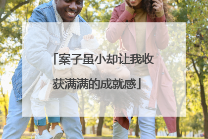 案子虽小却让我收获满满的成就感
